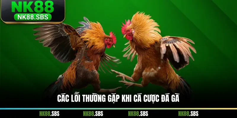 Các lỗi thường gặp khi cá cược đá gà Các lỗi thường gặp khi cá cược đá gà