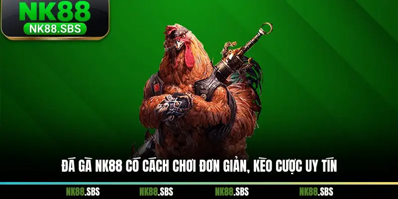 Đá gà NK88 có cách chơi đơn giản, kèo cược uy tín Đá gà NK88 có cách chơi đơn giản, kèo cược uy tín